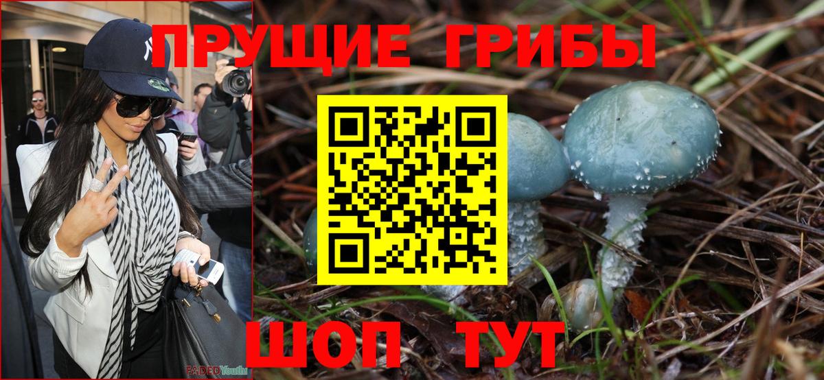 Галлюциногенные грибы Cubensis Минеральные Воды
