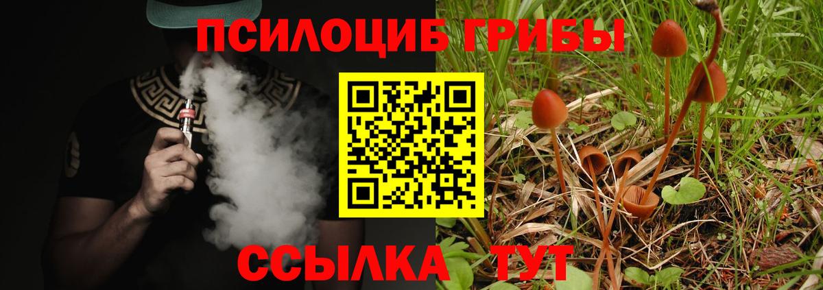 где можно купить наркотик  Вход с VPN  Минеральные Воды  Псилоцибиновые грибы мицелий  Псилоцибиновые грибы Cubensis 